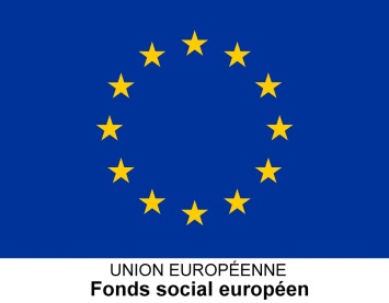 Fonds social européen logo